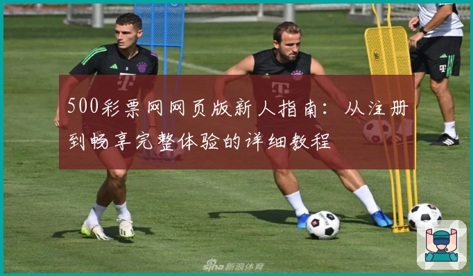 500彩票网网页版新人指南：从注册到畅享完整体验的详细教程