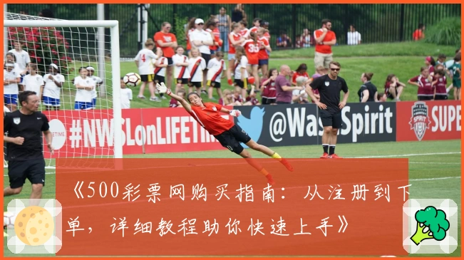 《500彩票网购买指南：从注册到下单，详细教程助你快速上手》