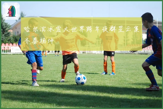 哈尔滨冰雪大世界跨年夜群星云集齐秦杨坤