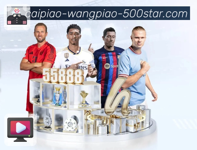 功能与项目展示